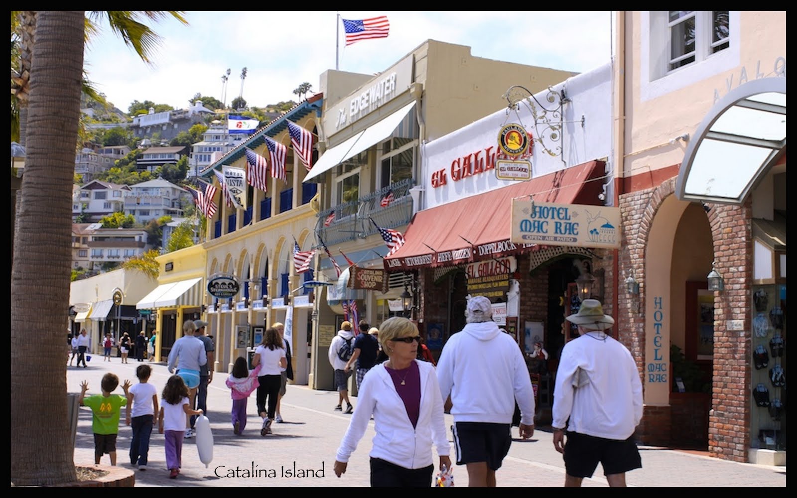 The Sweet Aperture Catalina Island