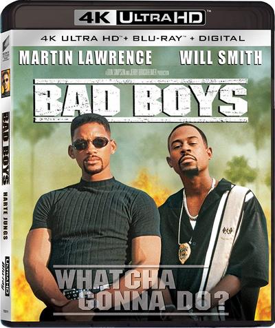 Bad Boys (1995) 2160p HDR BDRip Dual Latino-Inglés [Subt. Esp] (Acción. Comedia)