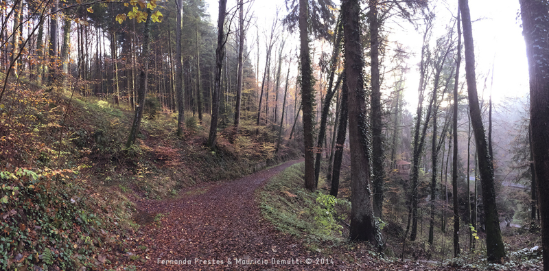 mullerthal trail Luxemburgo mullerthal trail Luxemburgo