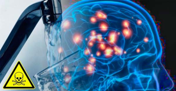 Orbes Argentina – Riesgos de Grandes Cambios Cerebro Debido Fluoración - Imagen 1