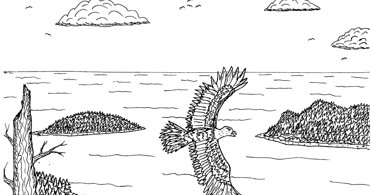 Robin's Great Coloring Pages: Bald Eagle over Alaska