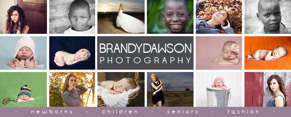 Brandy Dawson Photography - Indianapolis newborn, child & senior photographer