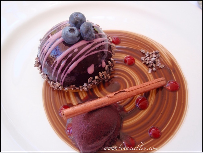 chocolate-and-blueberry-dome-with-red-fruit-sorbet