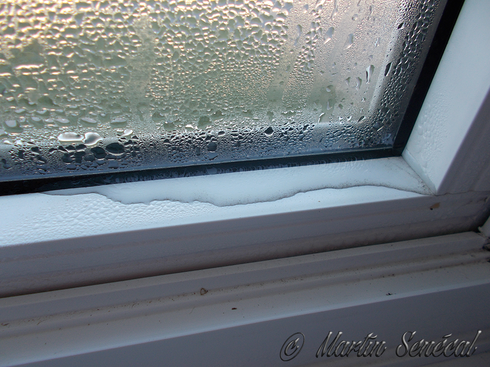 Portes et Fenêtres Problèmes d'humidité dans vos fenêtres