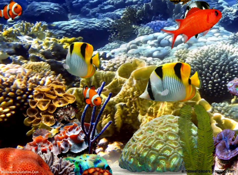 3D Aquarium Screensaver Wallpaper | All HD Wallpapers