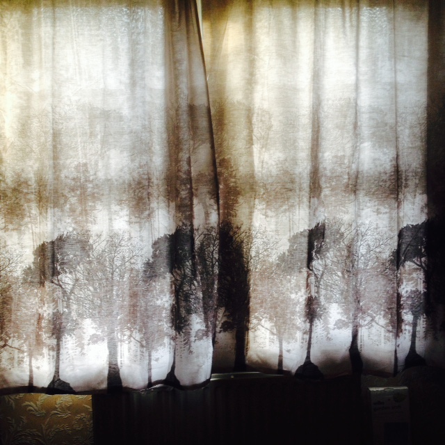 Sybil Witters On Curtains from Duvet Covers