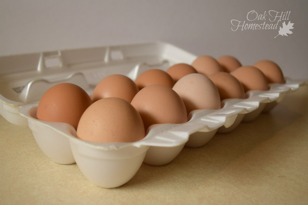 6 Ways to Preserve Eggs Oak Hill Homestead