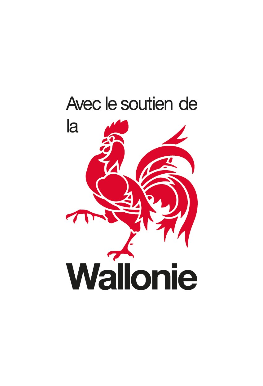 Projet Ecole "Wallonie#Demain"