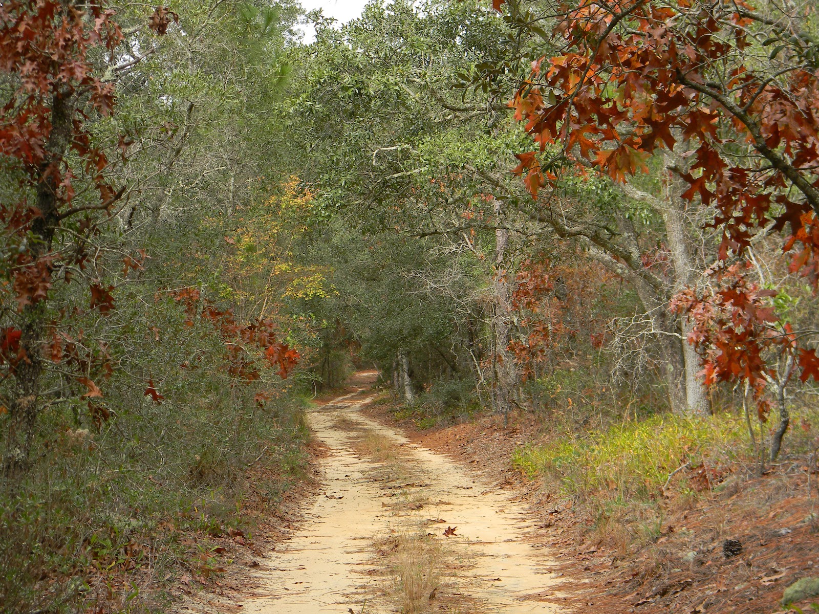 RVFulltimingLove Eglin Air Force Base Wildlife Management Area