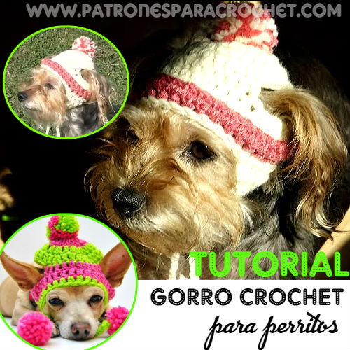 nuestra maníaco brillante Gorro Crochet para Perritos / Tutorial