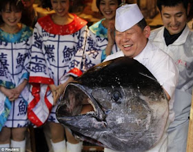 Ikan Tuna Gergasi