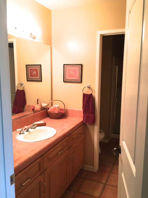 Rosa Beltran Design Briarwood Bathroom Reveal