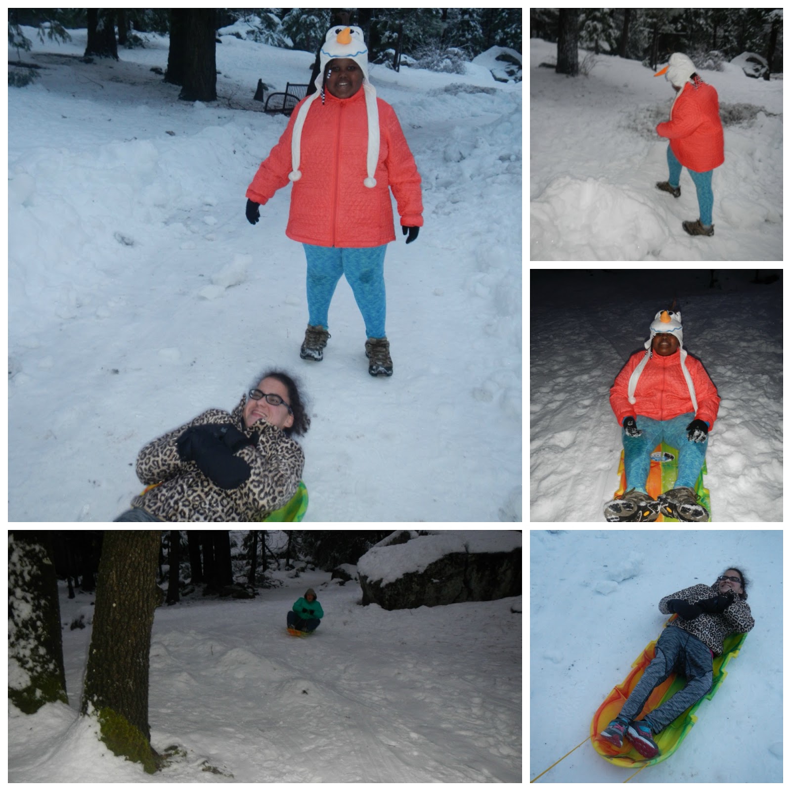 Kellisa's Path Yosemite National Park Part V (January 2017)