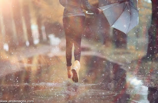 ���� ���� ������ �� ���� ������