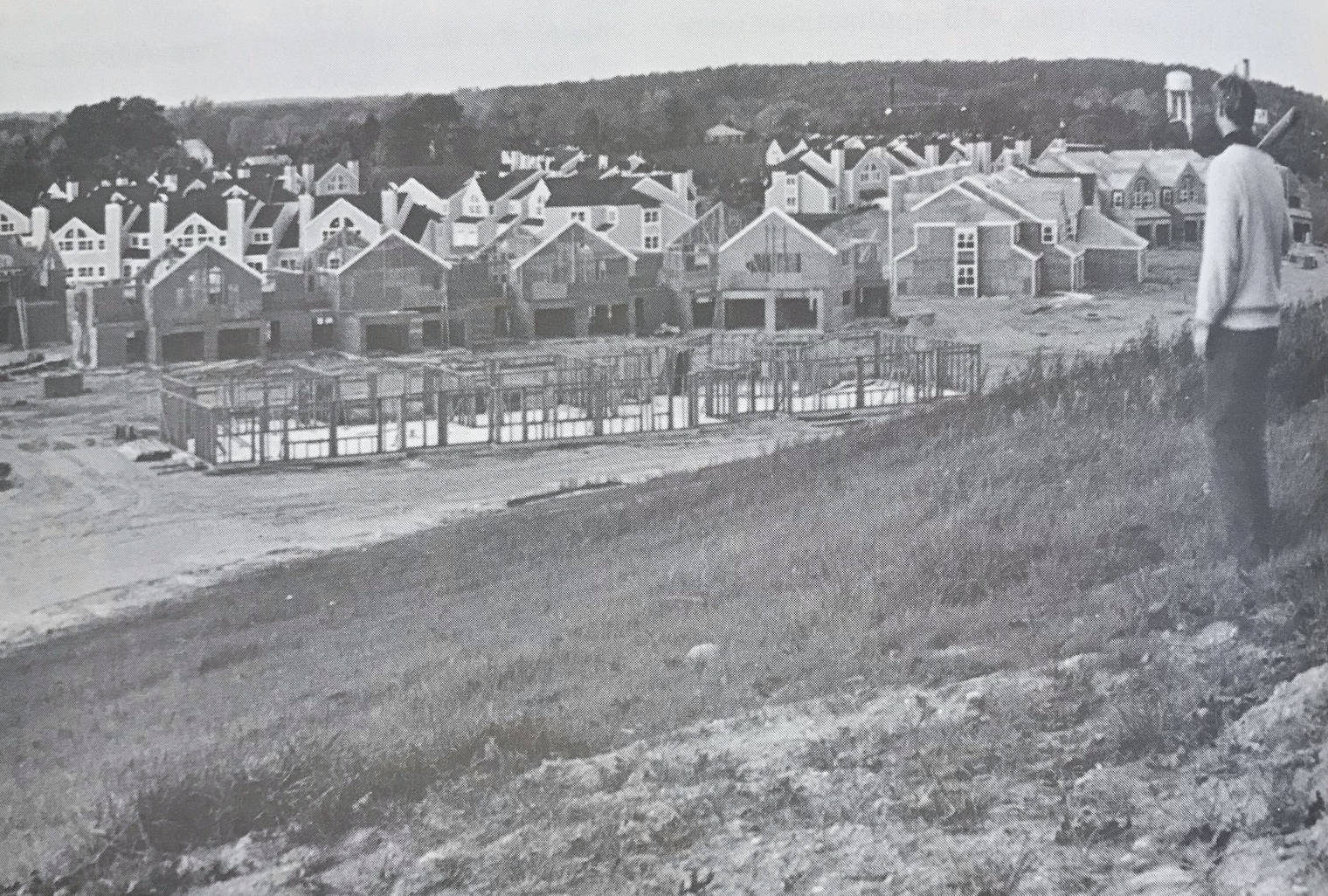 Walpole Timeline 19502000 1987