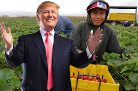 trump-hispanic-agriculture-secretary