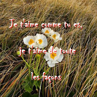image d'amour je t'aime