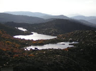 Tasmanian Highlands