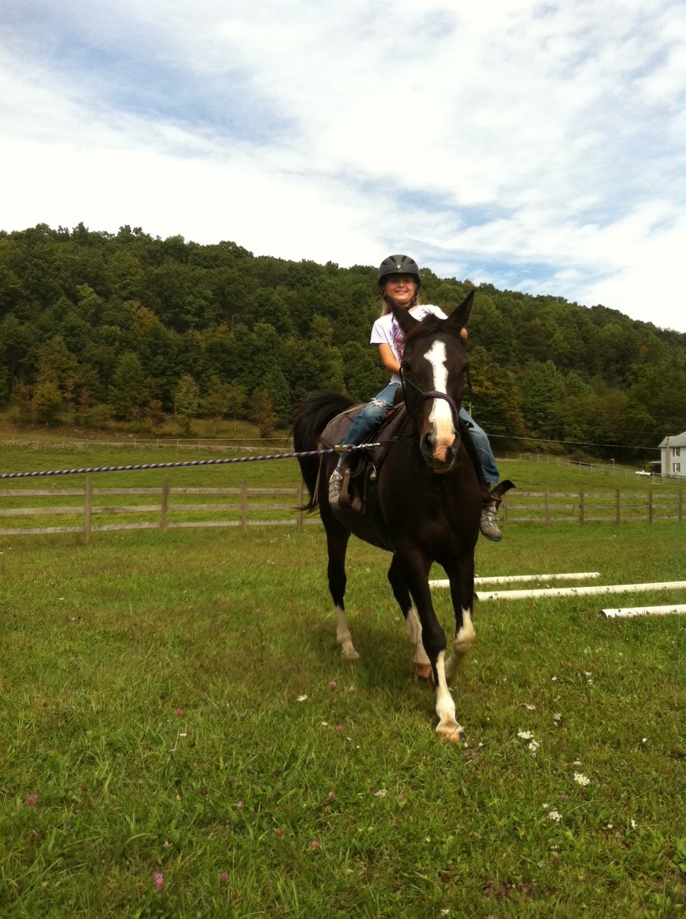 Starlight Lane Farm: WW: Q as lesson pony