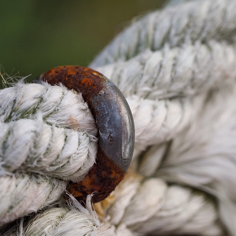 Olympus OMD EM1 + M.Zuiko 60 Macro a 60 (120) mm • ISO 200 • 1/500 • f/5,6