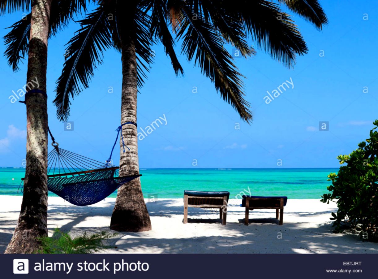 tropical beach with palm trees hammock and canvas chairs tropical beach with palm trees hammock and canvas chairs