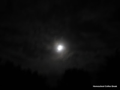 (Not) Wordless Wednesday - The Moon on Homeschool Coffee Break @ kympossibleblog.blogspot.com