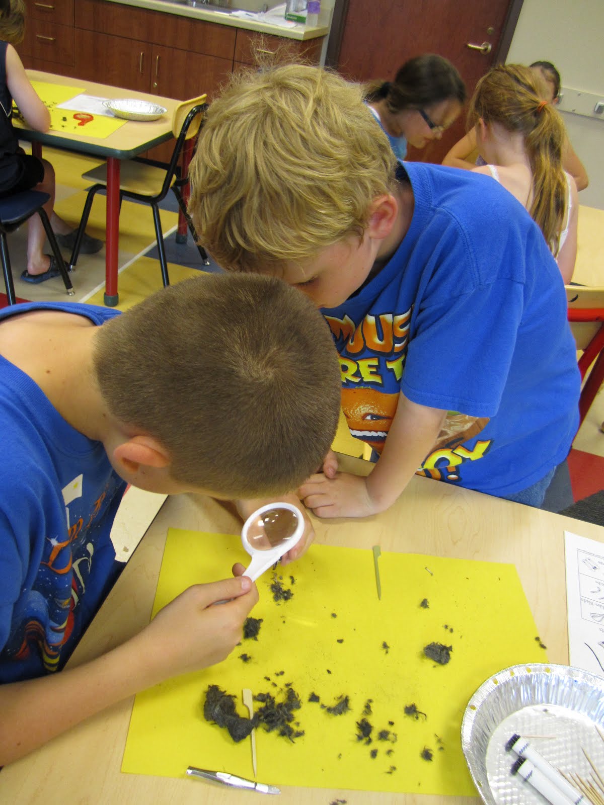 animals nocturnal program bibliotheque