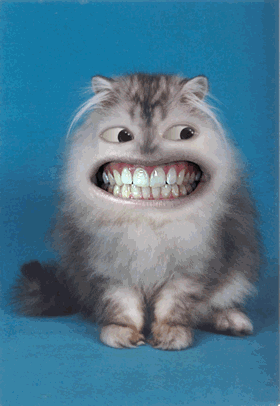 Https Encrypted Tbn0 Gstatic Com Images Q Tbn 3aand9gctprelsdcgol5x2uhtgnazmgjcrmdiiu9r1ndmodlflw8blpmgb