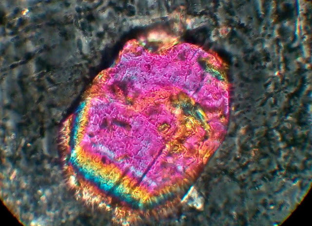 Ancient Crystals Shed Light on Earth’s Earliest History