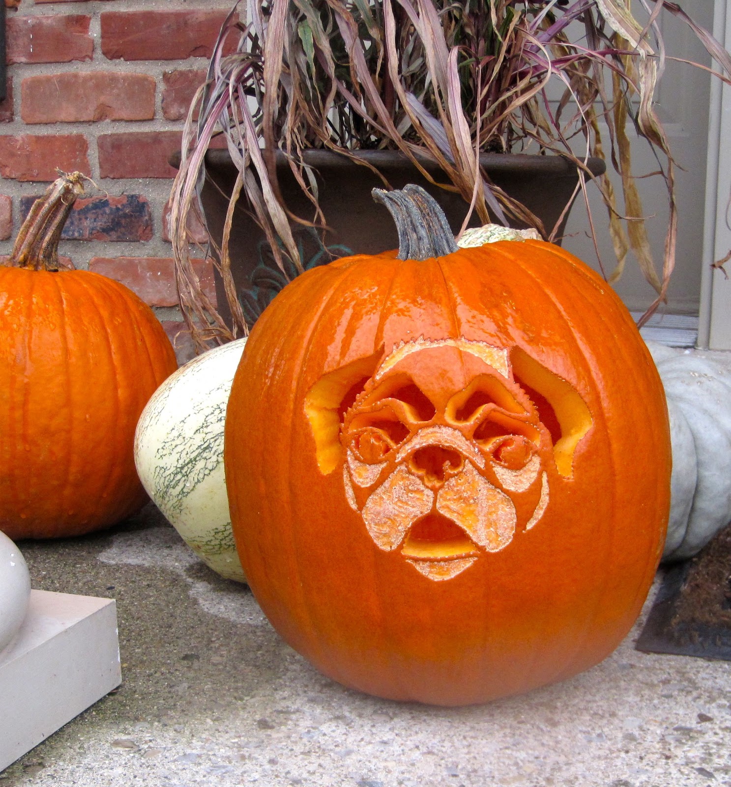 Do This Before Pitching Your Rotting Pumpkins Driven By Decor pug-carved-pumpkin-pugs-and-kisses-pumpkin-carving-dog-pug
