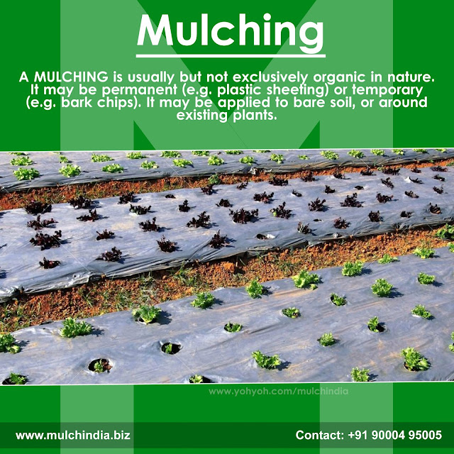 MulchIndia Mulching Mulch india
