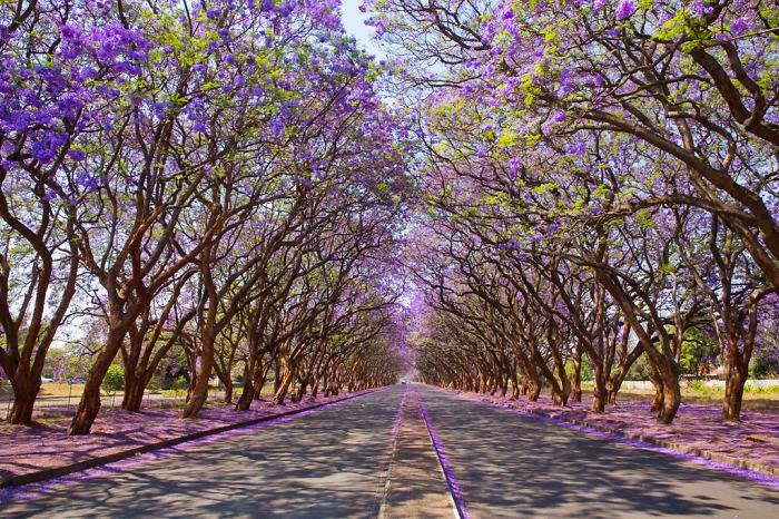 صور ساحرة مأخوذه من أجمل أماكن الطبيعة,,