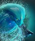 Dota 2 - Morphling Build Guide