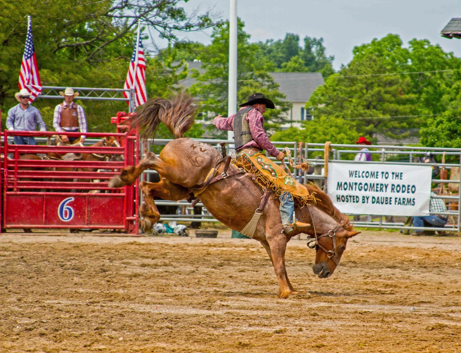 My Pics: Rodeo Show - Montgomery NJ