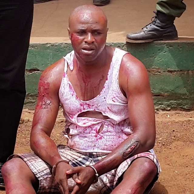 femi adebayo arrested police femi adebayo arrested police