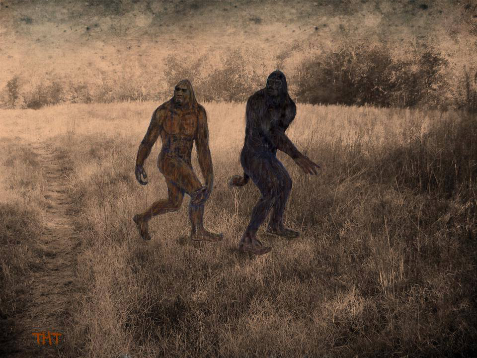 Friends Spot Two Different Bigfoot In Northeastern