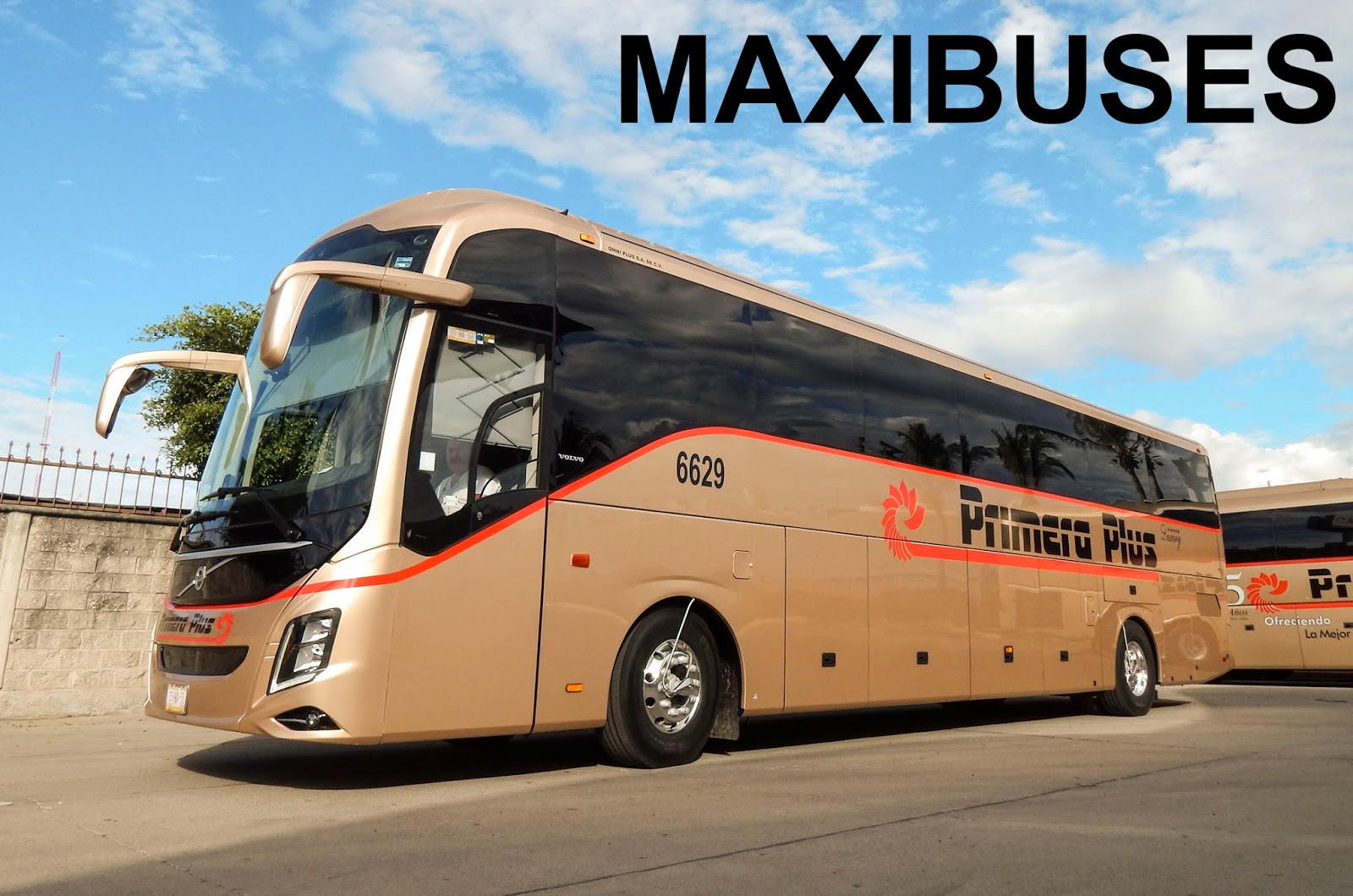 MAXIBUSES PRIMERA PLUS ESPECIAL