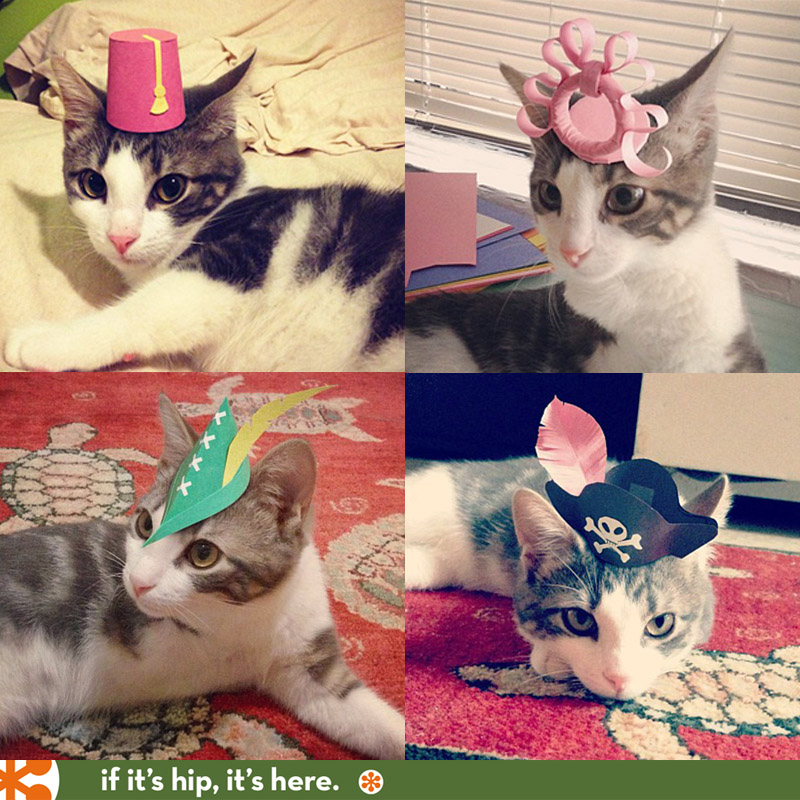 Kitten Wearing Paper Hats