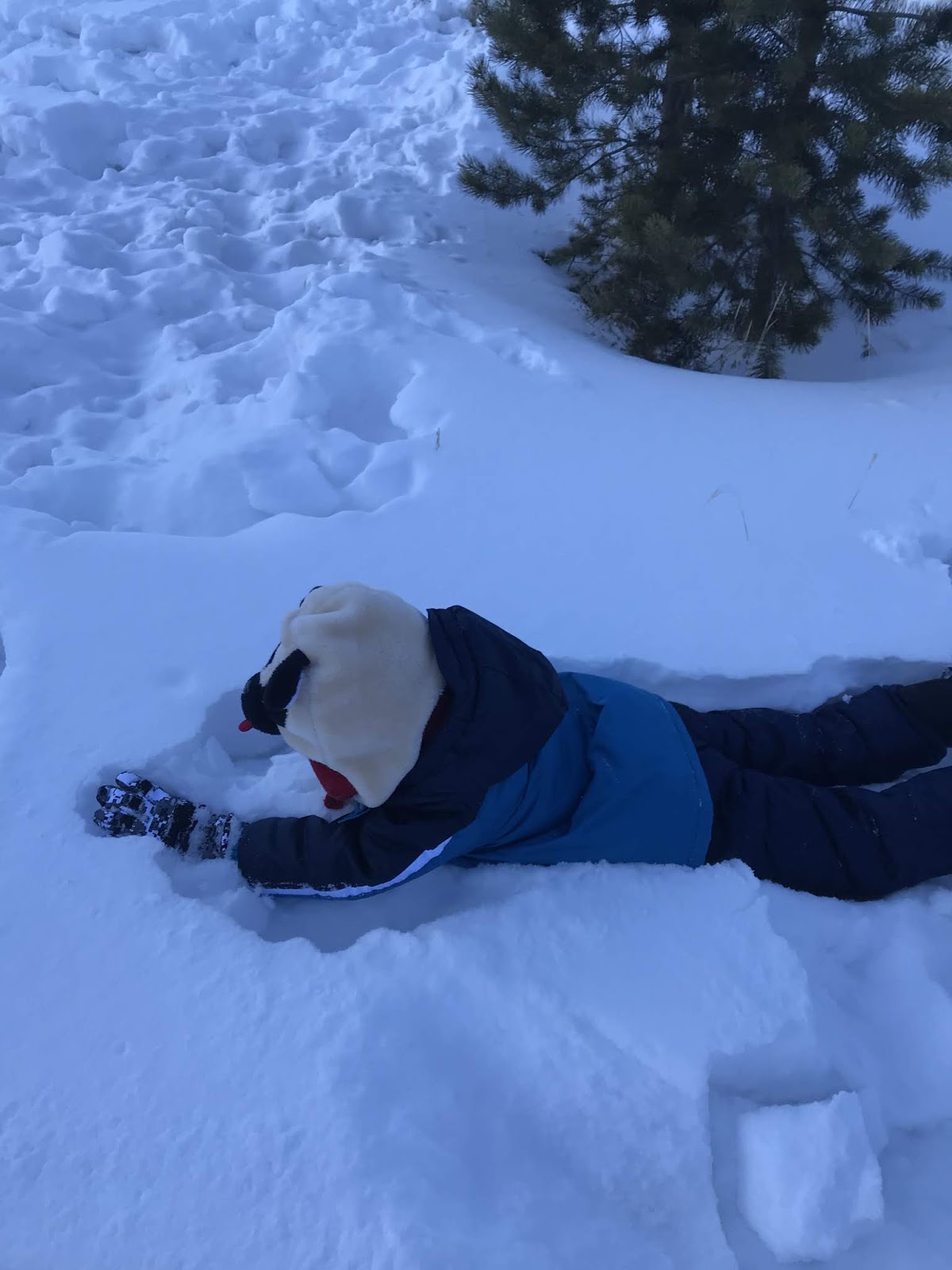 Keeping Up with the Shields Sledding fun in Frisco!