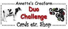 Duo-Challenge Blog