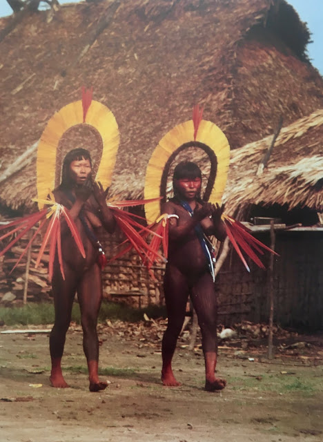 Photographs exhibition photo exposition 1992 Tervuren Indiens d'Amazonie Amazon Indians tribal shaman magic ceremony trance ritual spirits ancestors