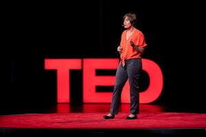 TED talk, 2019: the dangers of a noisy ocean