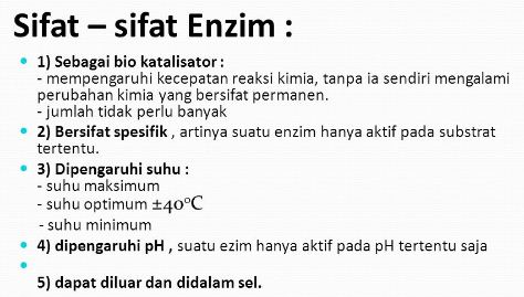 Enzim Merupakan Biokatalisator Pada Proses Metabolisme Dalam Tubuh Mahluk Hidup Berikut Sifat Sifatnya Kecuali Blog Pak Pandani