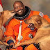 Η ιστορία της φωτογραφίας με τον αστροναύτη και τους σκύλους του που έγινε viral...