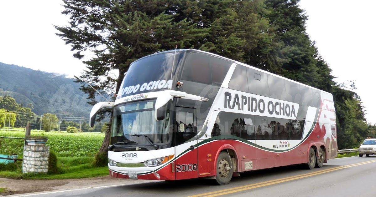 Rapido Ochoa 20108