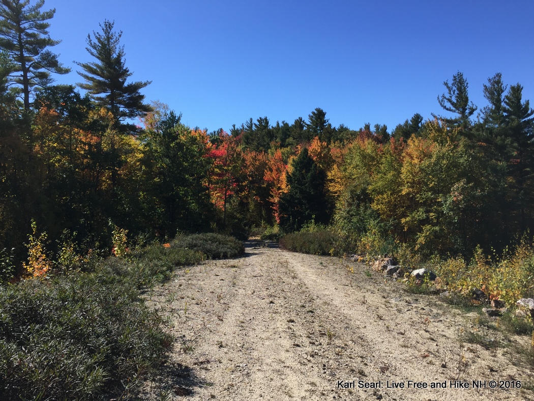 Live Free and Hike A NH Day Hiker's Blog Quimby Mountain Hooksett's
