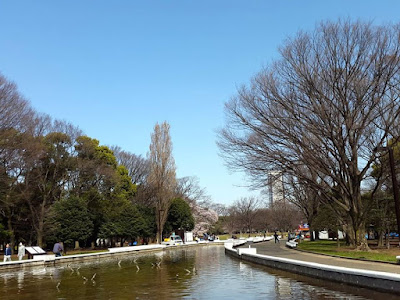 Pond in Yoyogi Park Tokyo Japan