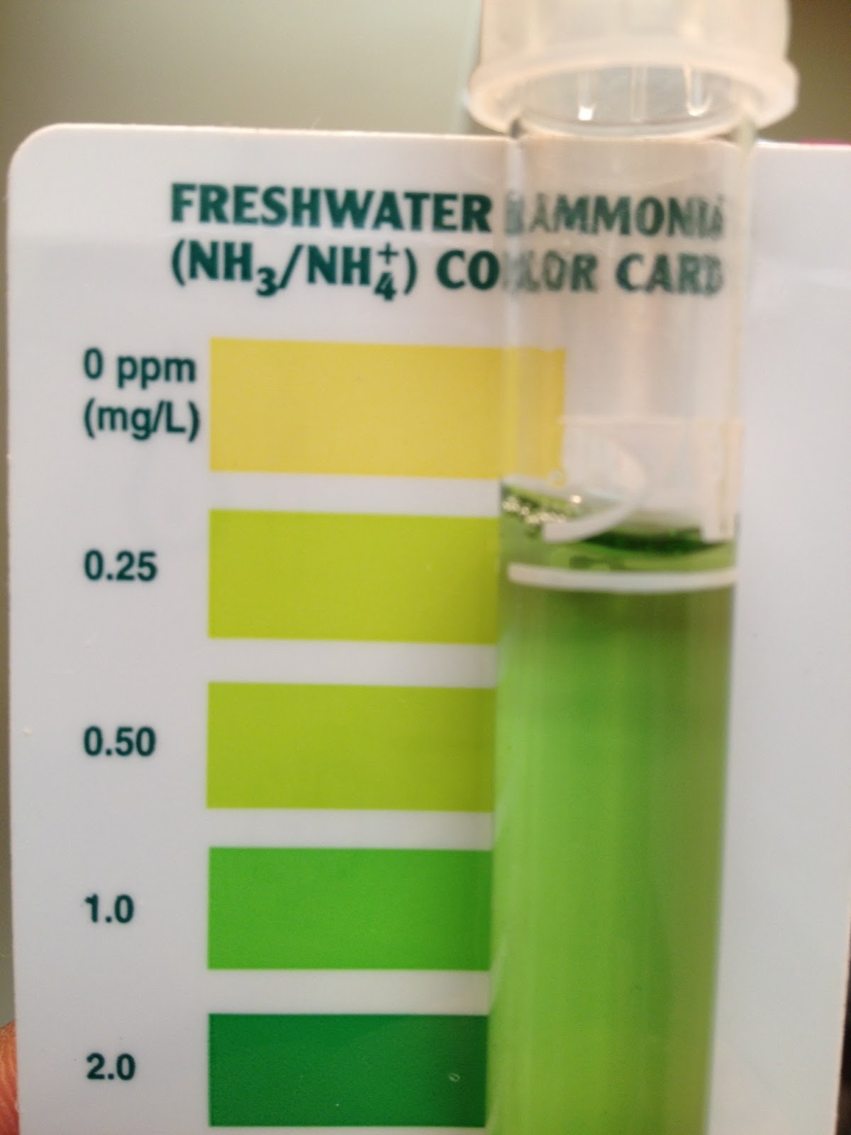 Planted 60P Aqua Neteru... 0o0o { 0o0o Cleaned Waterlogged