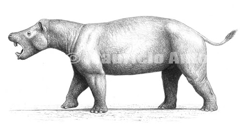 paleocene mammals Coryphodon