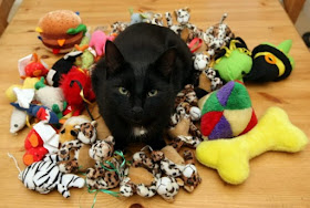 5 Reasons you should buy your cat a toy
